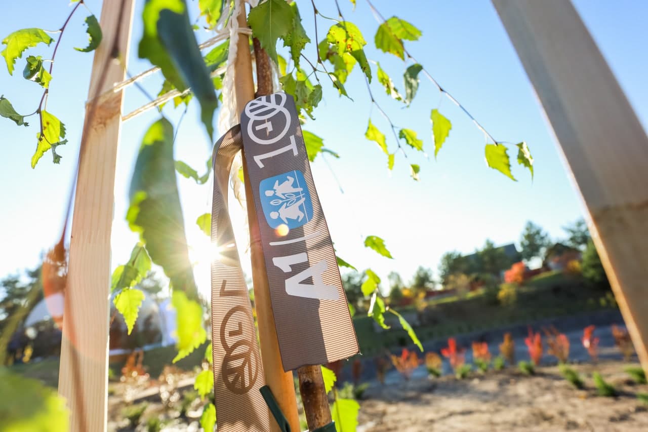 Полторы сотни деревьев посадили в SOS-Детской деревне в Боровлянах ...